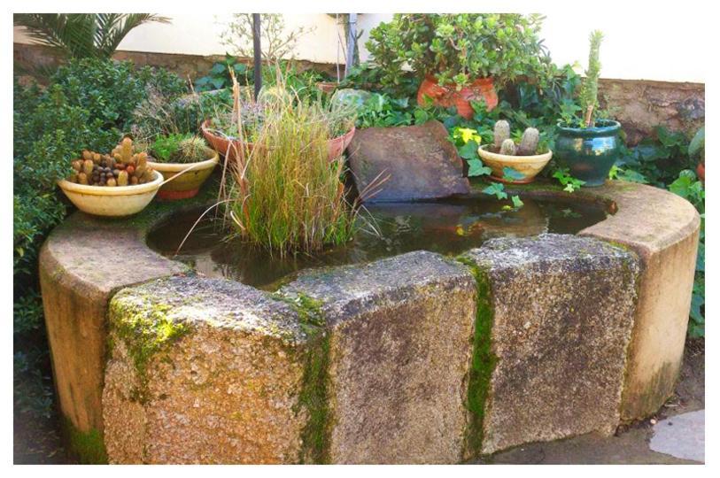 Casa Rural Valdevilano La Roca de la Sierra Ngoại thất bức ảnh